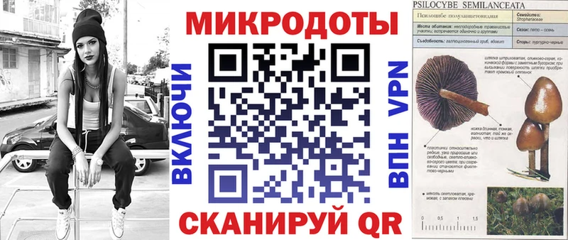 Галлюциногенные грибы ЛСД  Александров 